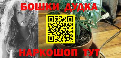 прущие крисы Брянск