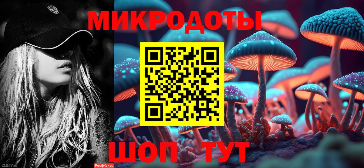 Псилоцибиновые грибы Psilocybine cubensis Семёнов