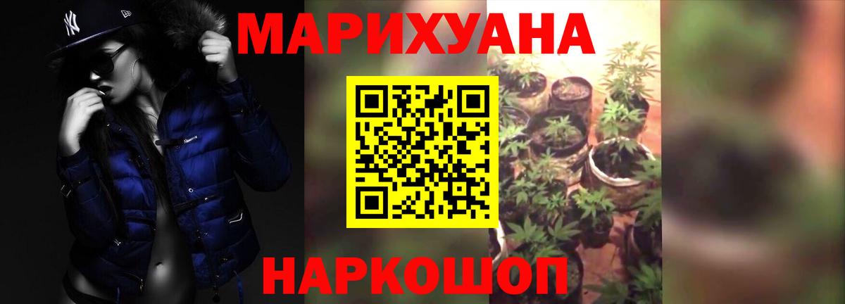 Канабис конопля Семёнов
